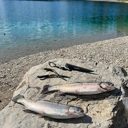 Cityapartments Reutte